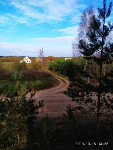 Фото номера Бюджетный двухместный номер с 1 кроватью Загородные дома Белый Кролик г. Gertsekovo 4