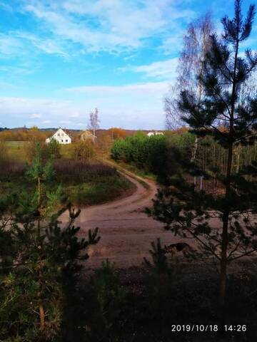 Фото номера Бюджетный двухместный номер с 1 кроватью Загородные дома Белый Кролик г. Gertsekovo 6