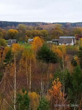 Фото Загородные дома Белый Кролик г. Gertsekovo